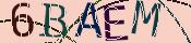 Retype the CAPTCHA code from the image